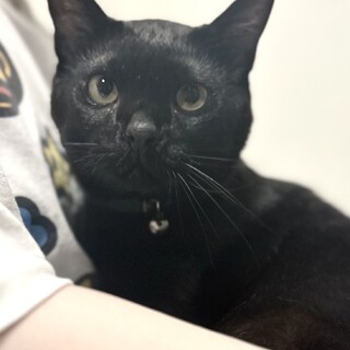 エイズキャリア☆可愛いこっちゃん！