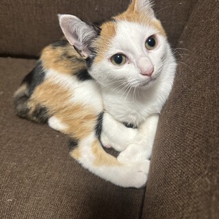 姉妹で家族にしてもらえました