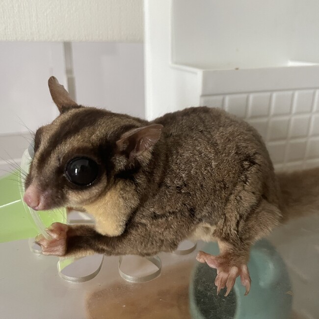 蔵夏のカバー写真