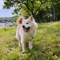 ふわふわもふもふ♡ 甘えん坊さんなノイ君