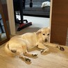 の写真