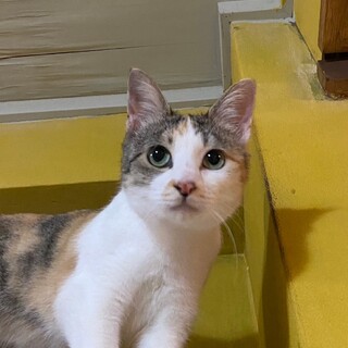 スリゴロ自分から行っちゃう♡『はま子』