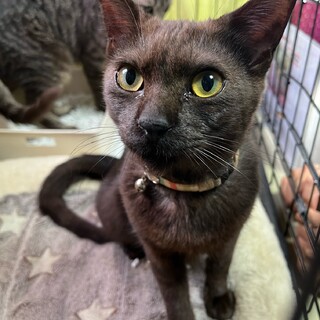 里親決定☆こだま君