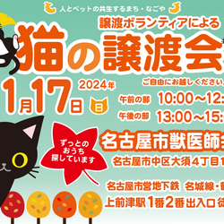 猫の譲渡会☆大須商店街近く