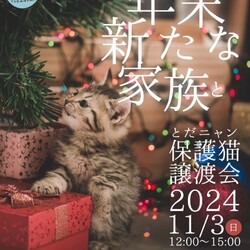 とだニャン保護猫譲渡会