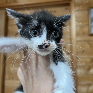里親結果です。ふじちゃん