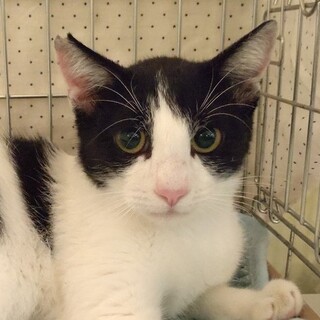 なれなれ　甘える　せんちくん♪