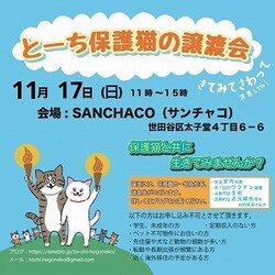 とーち保護猫の譲渡会@三軒茶屋