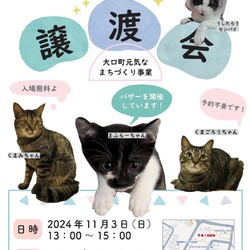 第３４回大口猫の会譲渡会