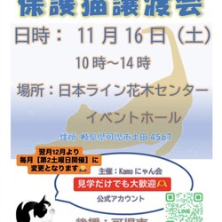 保護猫譲渡会in花木センター サムネイル1