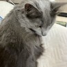 小野ますみ