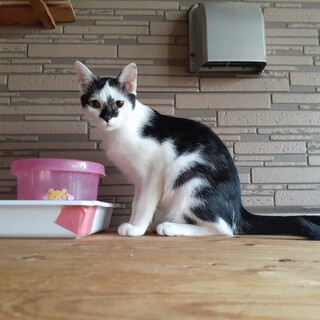 個性的な柄はとても印象的