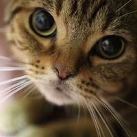 つむぎ