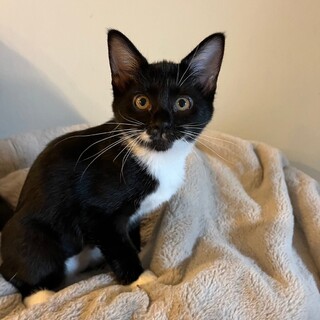 11/10幕張ෆ⃛人懐っこい兄妹ෆ⃛あみちゃん