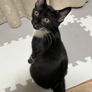 11/10幕張ෆ⃛人懐っこい兄妹ෆ⃛ゆうとくん