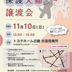 保護犬.保護猫の譲渡会
