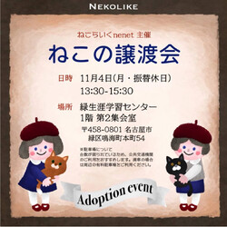 ☆ほごねこ譲渡会☆