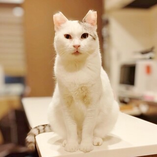 ◆3/20◆苦難乗り越えた甘えんぼ❤アツアゲ