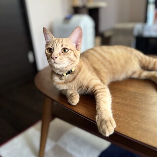 NHKで紹介された恭平くん