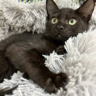 3姉妹♡のんびりおっとり♡はるちゃん