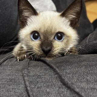 3姉妹♡甘えっ子のふゆちゃん