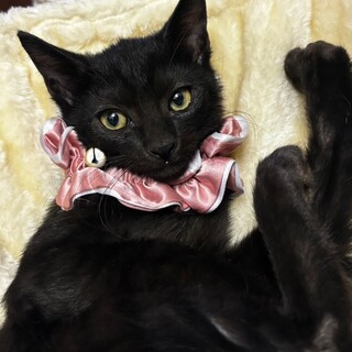 三姉妹♡色んな事にワクワク♡なつちゃん