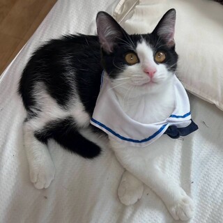 抱っこされると甘えん坊♡ぶぶくん