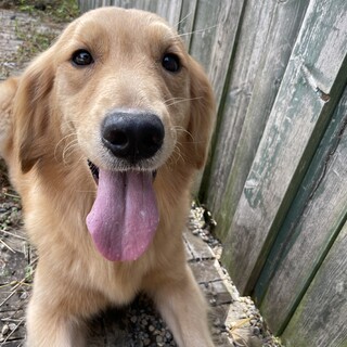 2歳の女の子です