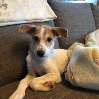 お見合いのため募集停止