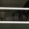 の写真