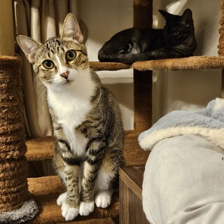 姉妹でずっとのお家決定！