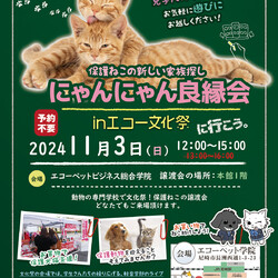 にゃんにゃん良縁会inエコーペット学院文化祭