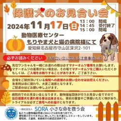 名古屋市守山区:保護犬のお見合い会
