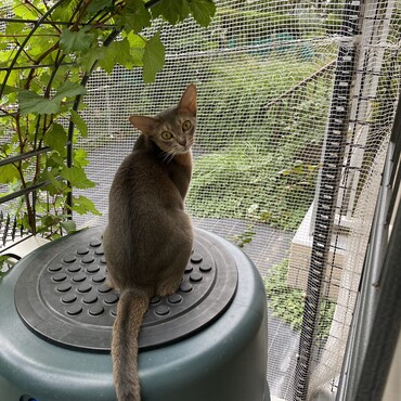 外見るのが、大好き