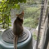 外見るのが、大好き