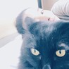 の写真