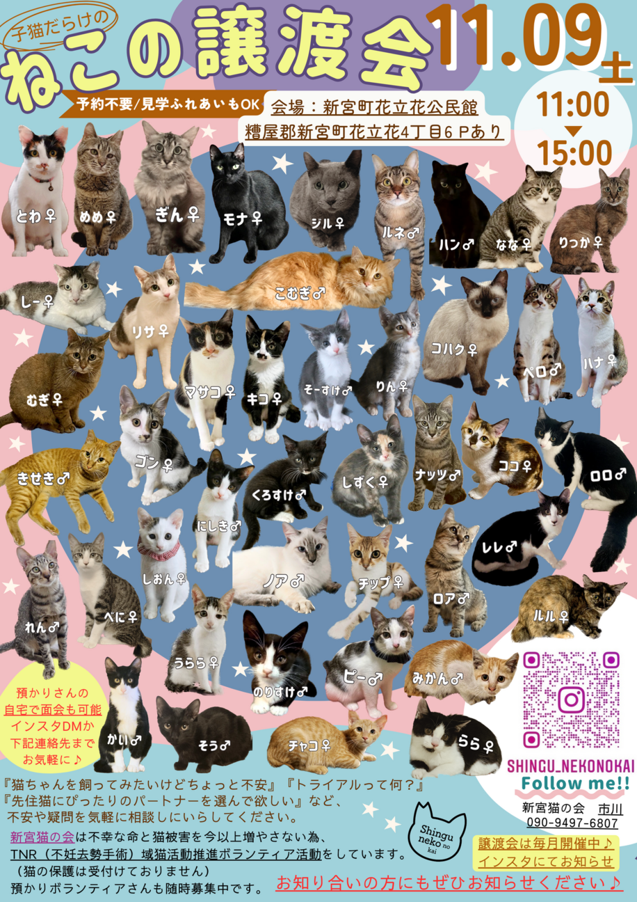 ねこの譲渡会」（新宮猫の会のイベント #24035） :: ペットのおうち