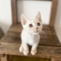 甘えん坊で遊びが大好き♥️