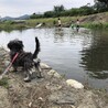 ムラタ家