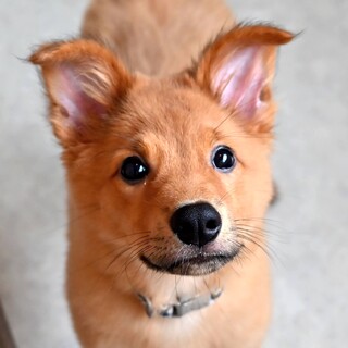 生後約5ヶ月の女の子♡可愛い仕草に癒されます