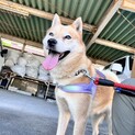 理解してくださる方家族になってください