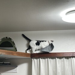 「まつりさん、どうしても何かが許せないw」サムネイル3