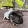 商談中 サムネイル2