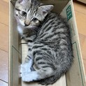 ちょっぴりタレ目なだいちゃん