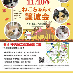 ねこざんまい譲渡会@東日本橋
