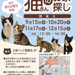 第75回 ViVAキャッツ譲渡会