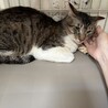 4歳　優しい男の子