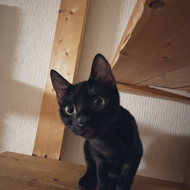 1209373のカバー写真