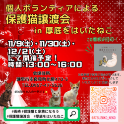 長崎の個人ボランティアによる保護猫譲渡会　in 厚底をはいたねこ