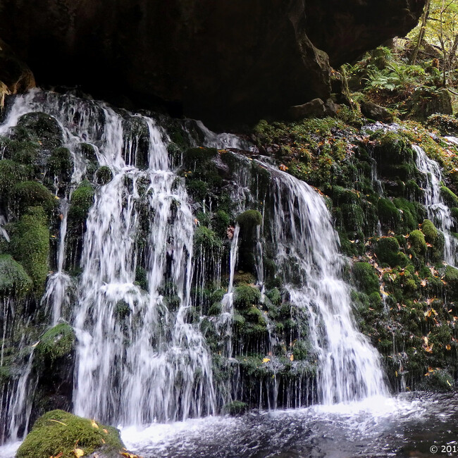 Cat's  Uncleのカバー写真